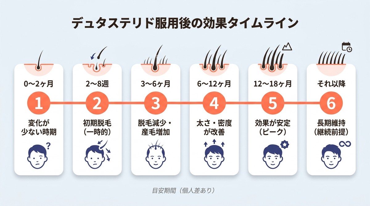 デュタステリド服用開始から効果安定までの期間を示すタイムライン図