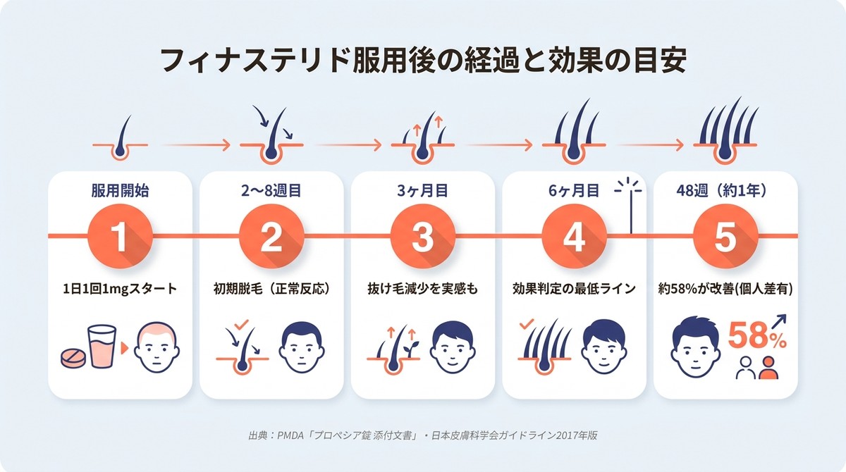 フィナステリドの服用開始から効果発現までのタイムライン