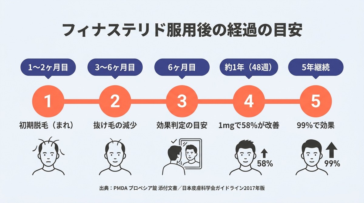 フィナステリドの効果タイムライン:服用開始から5年間の経過と各時期の目安を示す横軸図